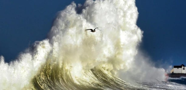 Une vague de 23,8 mètres de haut mesurée en Nouvelle-Zélande, un record