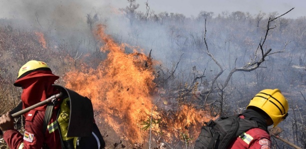 Bolivie: Quatre millions d'hectares dévastés par les incendies