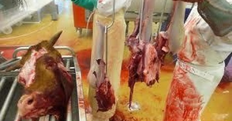 Abattoirs - Macky Sall annonce l’audit technique de la Sogas
