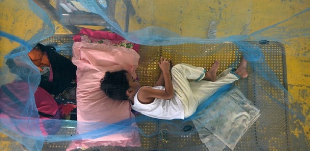 La dengue a déjà fait 500 morts aux Philippines