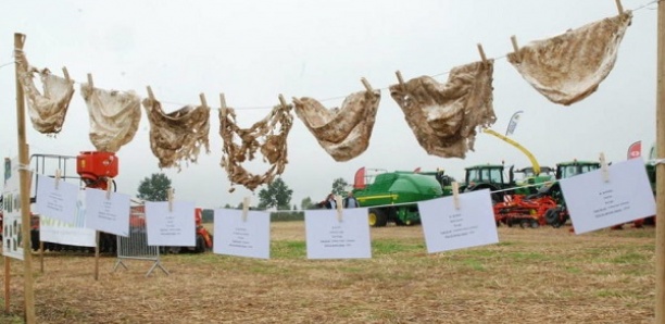 Des agriculteurs enterrent leurs slips pour évaluer l’état du sol