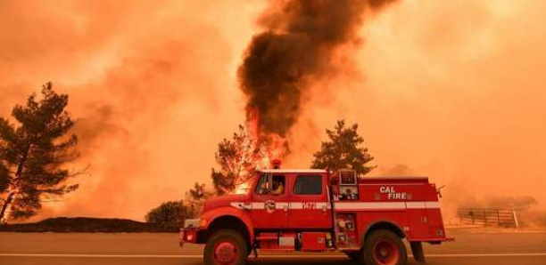 Violents feux de forêt dans le centre du Portugal