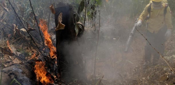 Amazonie: un sommet d'urgence sans Bolsonaro, sur fond de désaccords