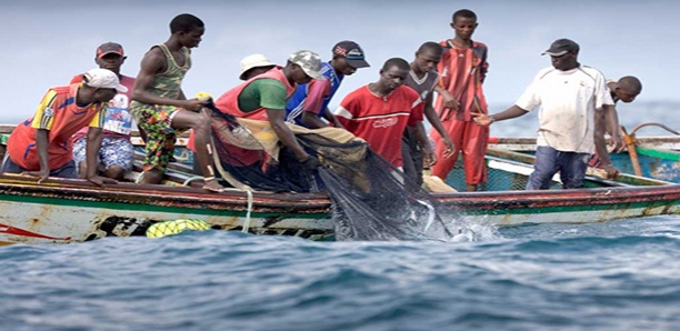 Pêche : La Mauritanie va expulser plus de 12.000 pêcheurs sénégalais