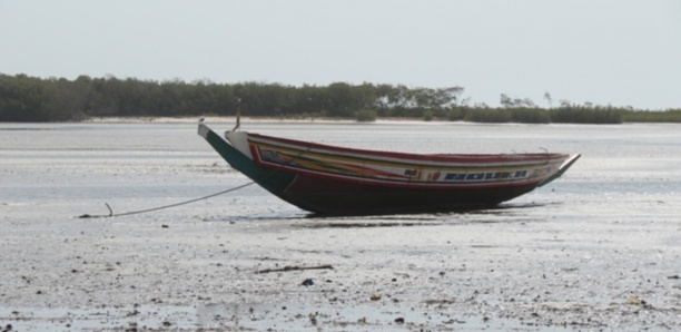 Un enseignant et son fils périssent dans le fleuve Sénégal