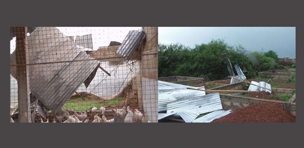 [PHOTOS] Fortes pluies à Thiès : Des murs effondrés, des toitures arrachées à Mbour 4