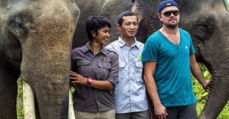 DiCaprio dans la jungle indonésienne