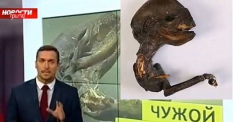 Un étrange cadavre découvert en Russie : bête mutante ou alien ? Regardez