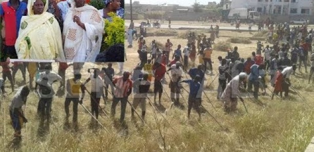 Tivaouane: Les mourides se chargent du nettoiement au quartier Cheikh Ahmed Tidiane