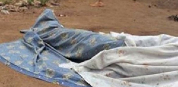 Mboro : Un cadavre découvert dans le champ d’un ancien député