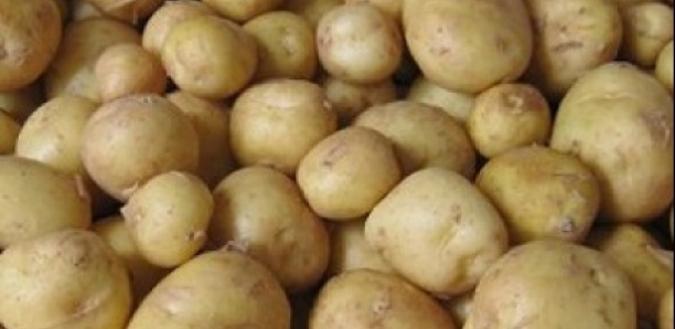 Vers la fin de la pénurie de pommes de terre
